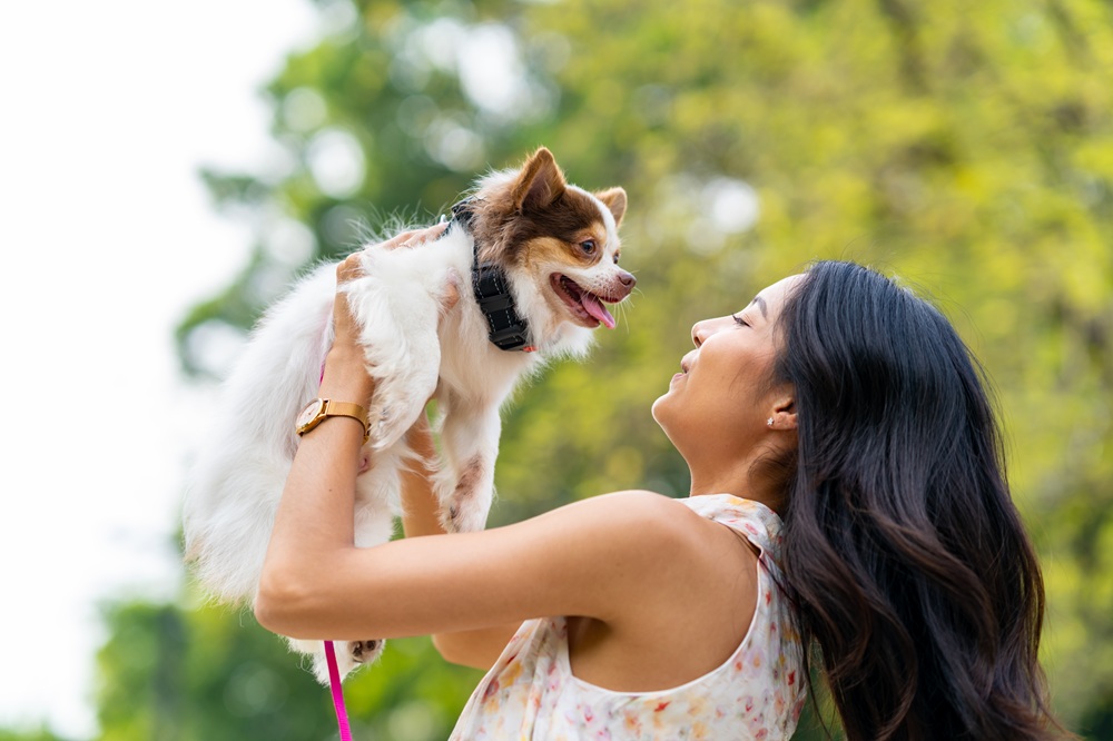 Smiling woman playing with her chihuahua dog outdoors at a pet-friendly park, highlighting joyful moments in pet care – Hofmann Veterinary Clinic