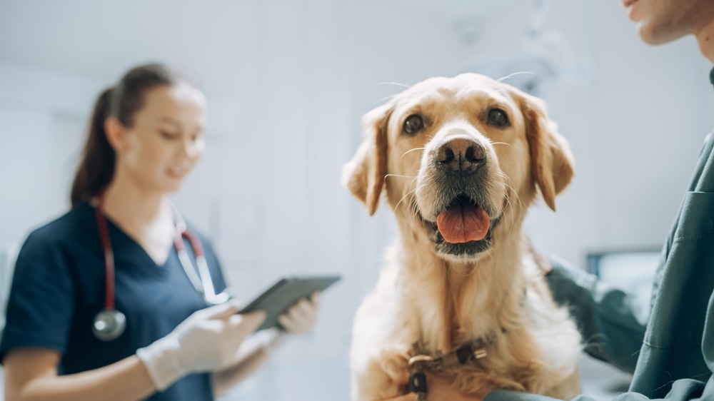 Veterinary